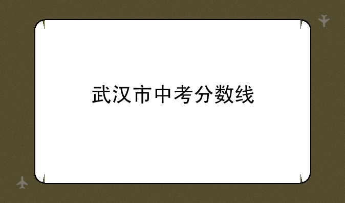 武汉市中考分数线