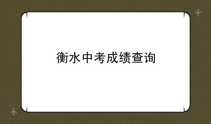 衡水中考成绩查询