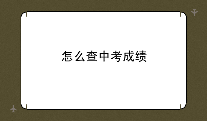 怎么查中考成绩