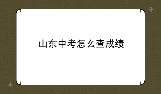 山东中考怎么查成绩