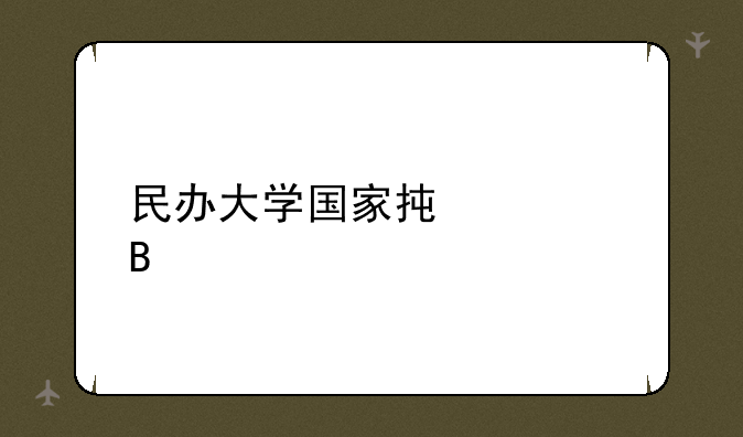 民办大学国家承认吗
