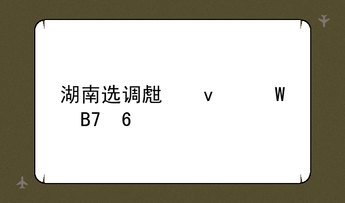 湖南选调生面试名单