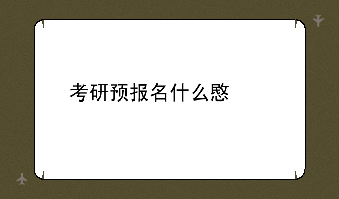 考研预报名什么意思