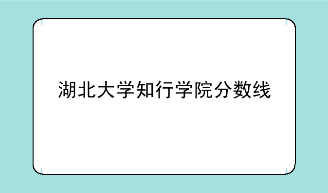 湖北大学知行学院分数线