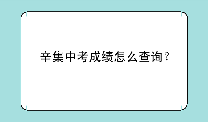 辛集中考成绩怎么查询？
