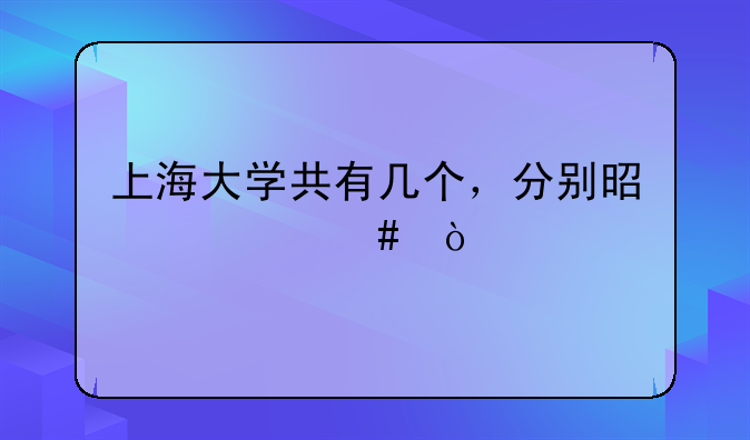 上海大学共有几个，分别是什么？
