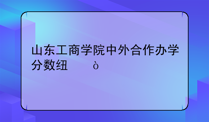 山东工商学院中外合作办学分数线？