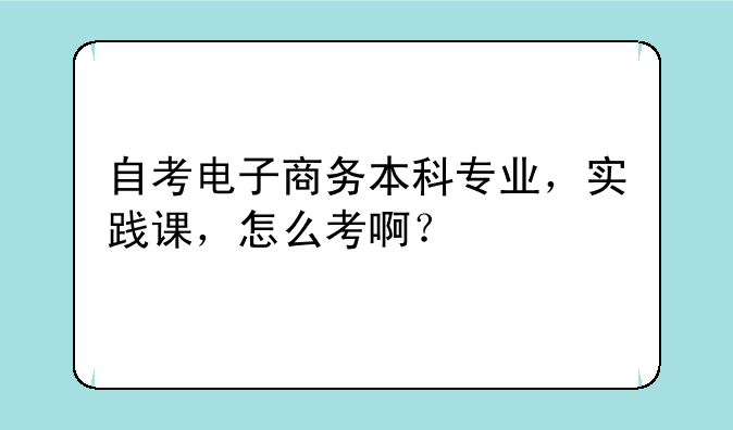 自考电子商务本科专业，实践课，怎么考啊？