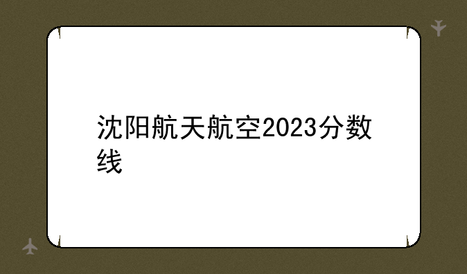 沈阳航天航空2023分数线