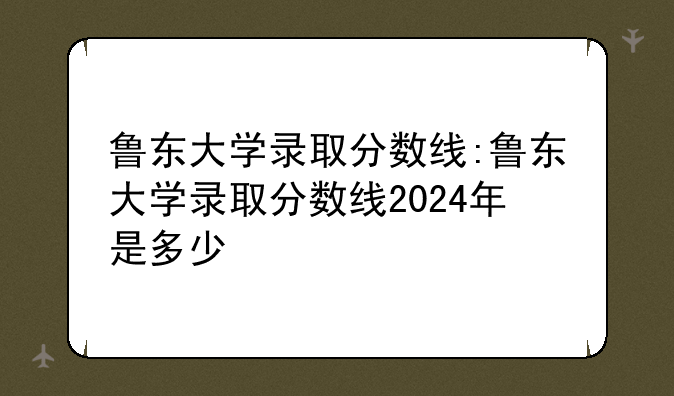 鲁东大学录取分数线:鲁东大学录取分数线2024年是多少